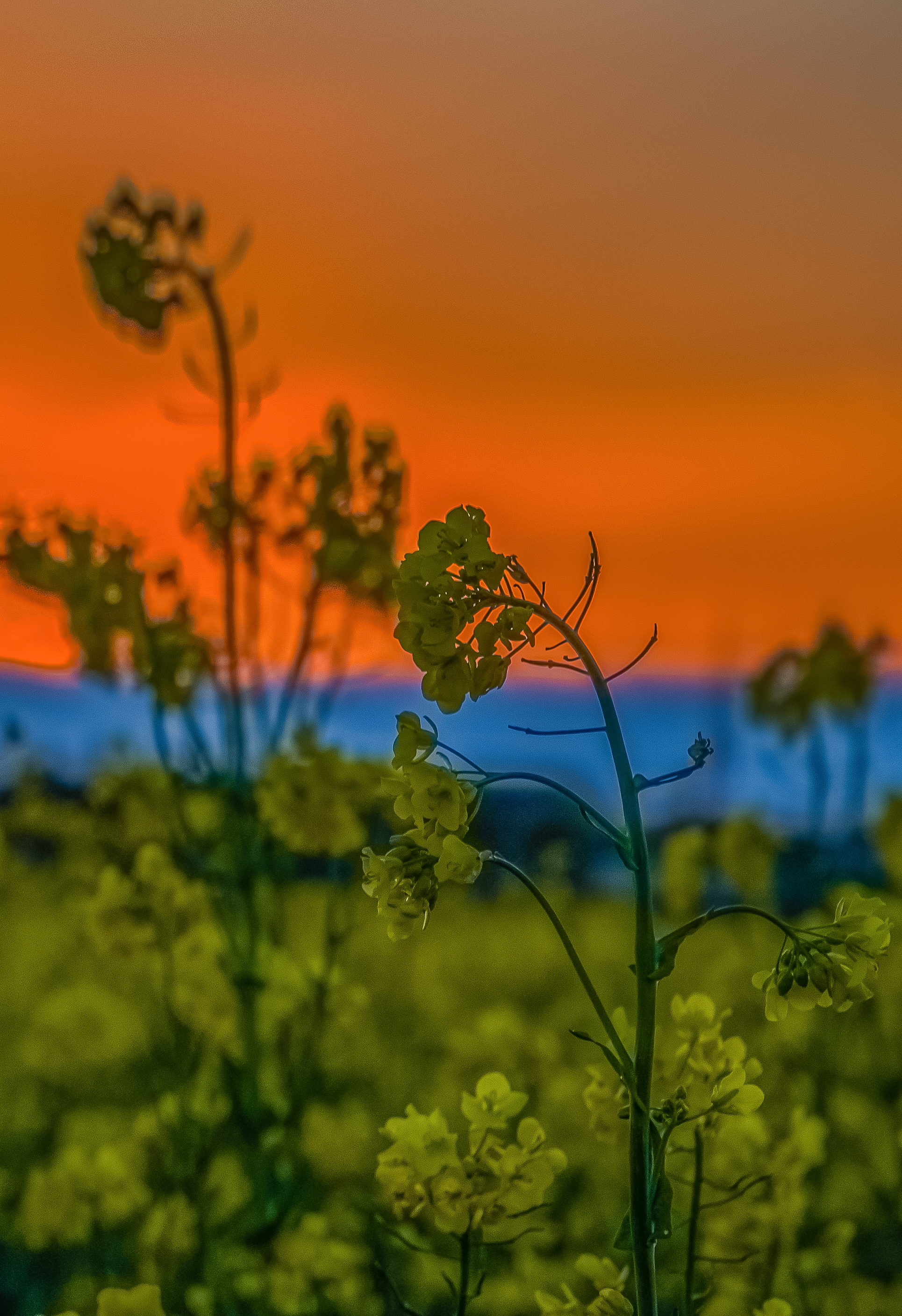 HDR Photography